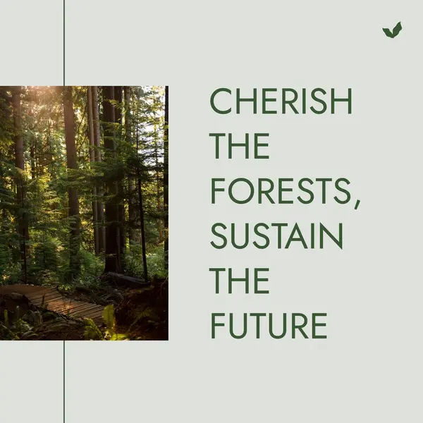 Skládá Opatrovat Lesy Udržet Budoucí Text Idylický Pohled Stromy Rostoucí — Stock fotografie