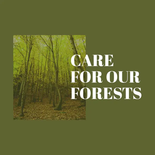 Composite of care for our forests text over beautiful view of trees growing in woodland, copy space. Nature, awareness, green, forest, protection and environmental conservation concept.