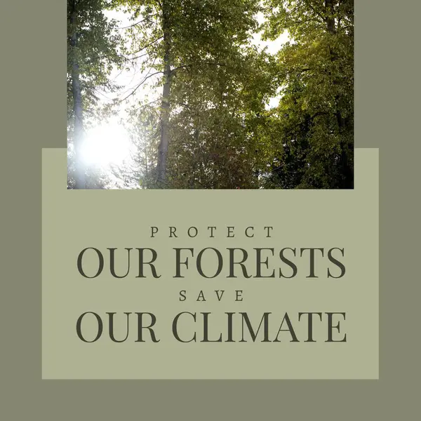 Kompozyt Ochrony Naszych Lasów Zapisać Nasz Klimat Tekst Słońce Świecące — Zdjęcie stockowe