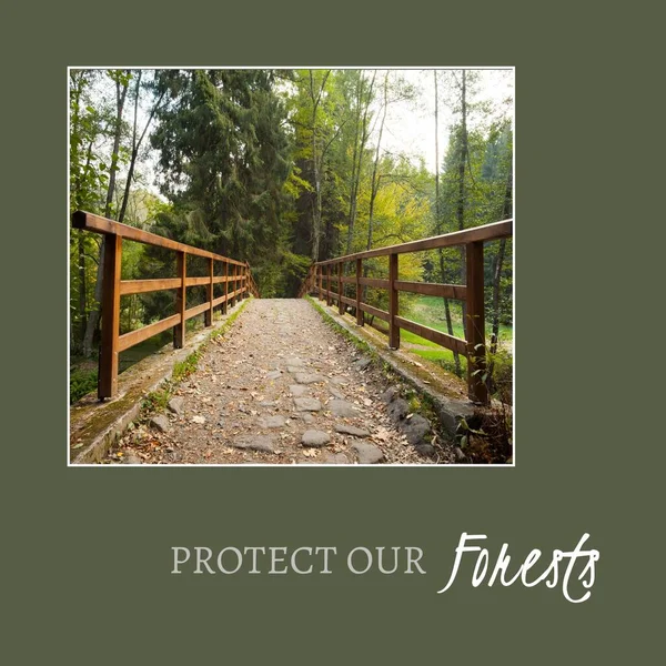 Composite Protect Our Forests Text Idyllic View Footbridge Leading Trees — Stock Photo, Image