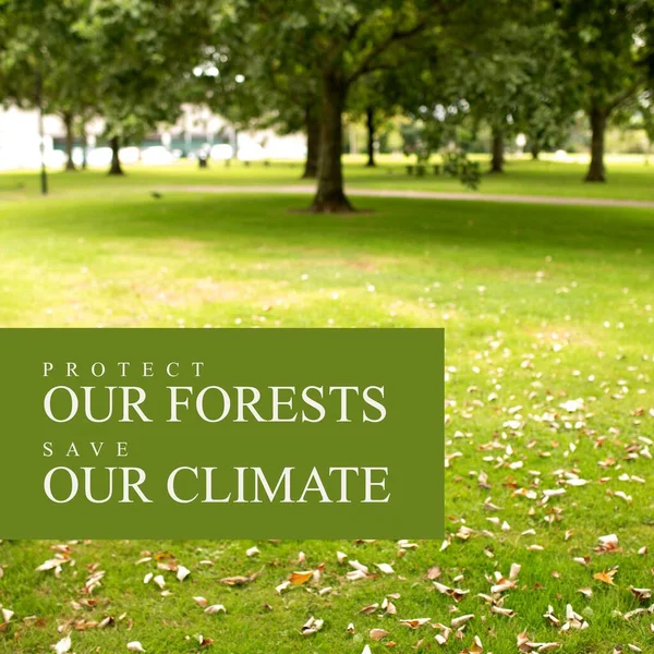 Skládá Ochrany Našich Lesů Šetří Náš Klimatický Text Stromy Rostoucí — Stock fotografie