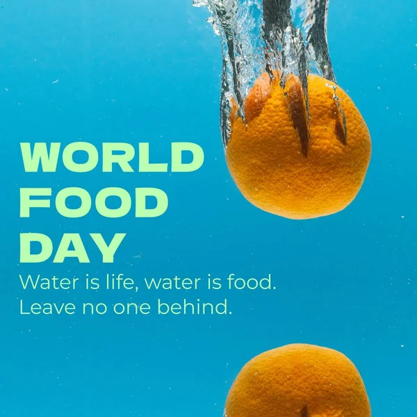 World food day and water is life, water is food, leave no one behind over oranges falling in water. Composite, citrus fruit, hunger, food security, promote, awareness and celebrate concept.
