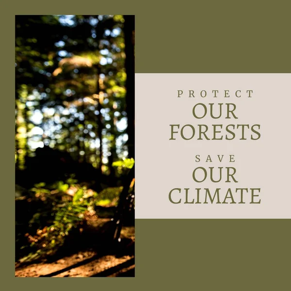 Kompozyt Ochrony Naszych Lasów Zapisać Nasz Tekst Klimatu Zdekoncentrowane Drzewa — Zdjęcie stockowe