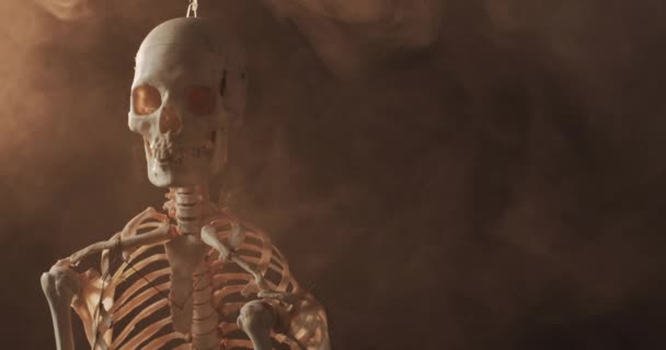 Video Primer Plano Del Cráneo Esqueleto Halloween Copiar Espacio Fondo — Vídeo de stock