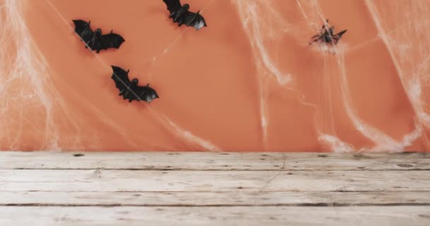 ハロウィーンのコウモリとクモのウェブのビデオとオレンジ色の背景にスペースをコピーします ハロウィーン お祝いのコンセプト — ストック動画
