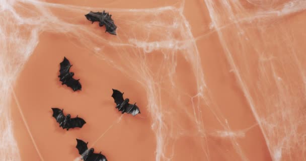 Vidéo Chauves Souris Halloween Toile Araignée Espace Copie Sur Fond — Video