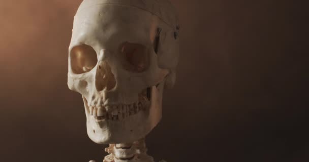 Vidéo Gros Plan Crâne Squelette Halloween Espace Copie Sur Fond — Video