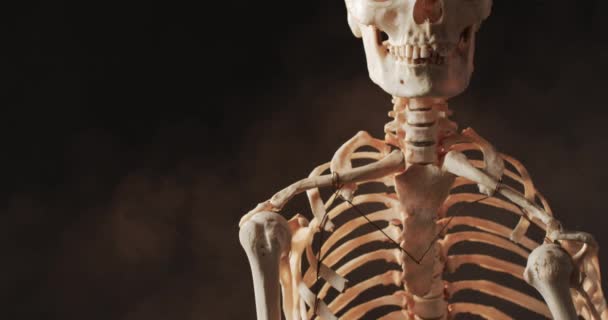 할로윈 두개골과 해골의 클로즈업 배경에 공간의 비디오 할로윈 — 비디오