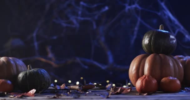 Vidéo Citrouilles Halloween Fumée Avec Espace Copie Sur Fond Violet — Video