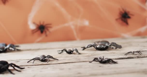 Vídeo Aranhas Halloween Teia Aranha Espaço Cópia Fundo Madeira Laranja — Vídeo de Stock