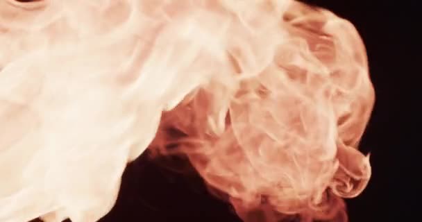 Video Van Gele Vlammen Kopieer Ruimte Zwarte Achtergrond Vuur Vlammen — Stockvideo