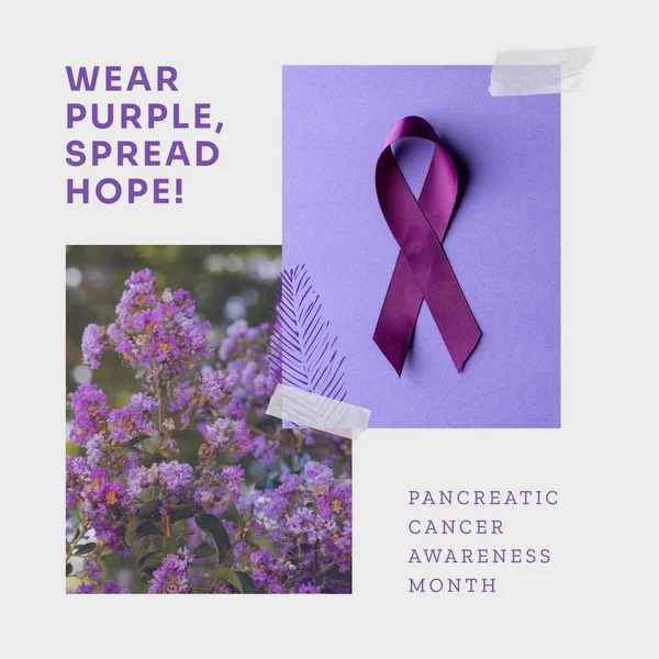 Composite of purple awareness ribbon with lavenders and pancreatic cancer awareness month text. Wear purple spread hope, pancreas, medical, healthcare, support, flower, prevention and alertness.