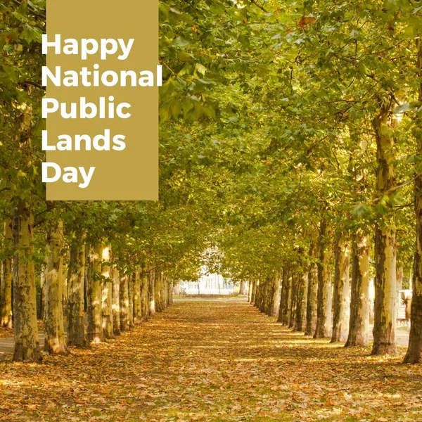 愉快的国家公有土地日的复合文字覆盖在公园的树木之上 国家公共土地日 自然和景观概念数字生成的图像 — 图库照片