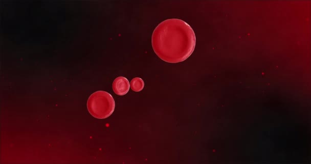 Animación Microglóbulos Rojos Sobre Fondo Negro Concepto Global Ciencia Investigación — Vídeos de Stock