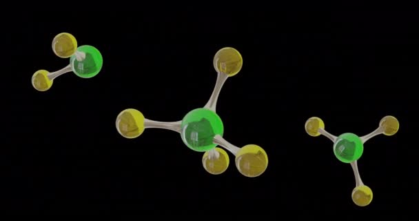 Animazione Micro Molecole Sfondo Nero Concetto Globale Scienza Ricerca Connessioni — Video Stock