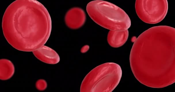 Siyah Zemin Üzerinde Kırmızı Kan Hücrelerinin Mikro Animasyonu Küresel Bilim — Stok video