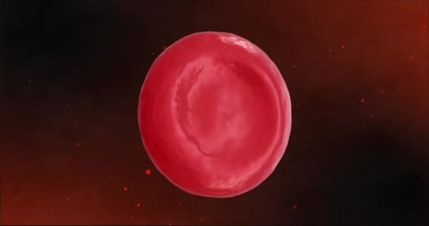 Animación Microglóbulos Rojos Sobre Fondo Oscuro Concepto Global Ciencia Investigación — Vídeo de stock