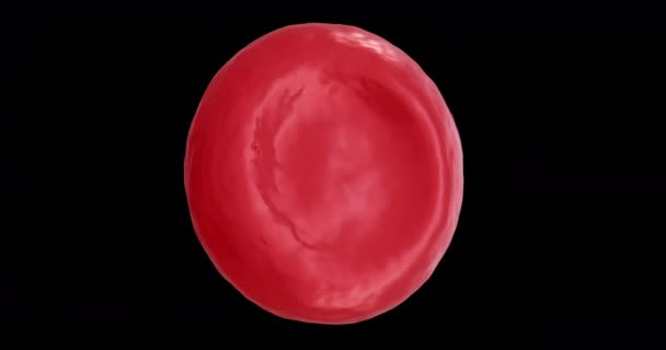 Animasi Dari Mikro Sel Darah Merah Pada Latar Belakang Hitam — Stok Video