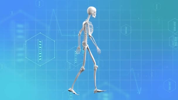 Анимация Медицинских Икон Скелетов Синем Фоне Концепция Глобальной Медицины Цифрового — стоковое видео