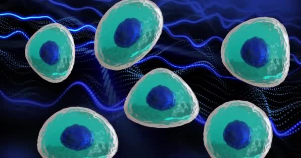 Animation Von Mikrozellen Aus Blauen Und Türkisfarbenen Zellen Auf Blauem — Stockvideo