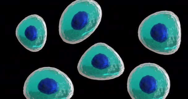 Animering Mikro Blå Och Turkosa Celler Svart Bakgrund Global Vetenskap — Stockvideo