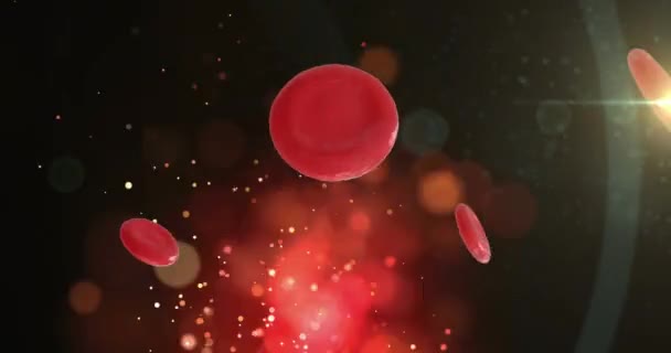 Animation Von Mikro Roten Blutkörperchen Auf Und Flecken Auf Schwarzem — Stockvideo