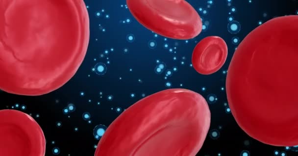 Animation Von Mikrozellen Roter Blutkörperchen Auf Blauem Hintergrund Globales Wissenschafts — Stockvideo