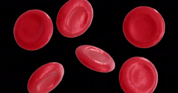 Animação Micro Glóbulos Vermelhos Sobre Fundo Preto Conceito Global Ciência — Vídeo de Stock