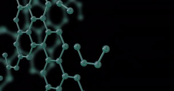 Animation Micro Network Molecules Black Background Global Science Research Connections — Stock Video