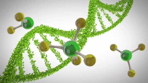 灰色の背景にある分子とDnaの鎖の3Dマイクロのアニメーション グローバルサイエンス リサーチ コネクションコンセプトデジタル生成ビデオ — ストック動画