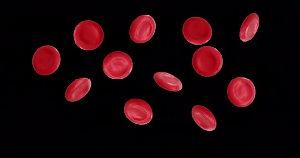 红血球微结构在黑色背景上的动画化 全球科学 研究和医学概念数码视频 — 图库视频影像