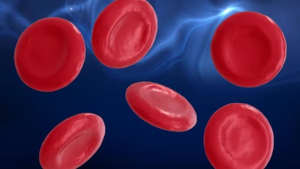 Animering Mikro Röda Blodkroppar Blå Bakgrund Global Vetenskap Forskning Och — Stockvideo