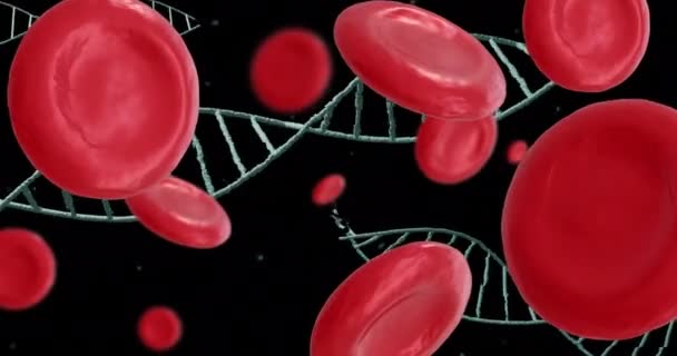 黒い背景に人間の体細胞とDna鎖のアニメーション グローバル医学 科学コンセプトデジタル生成ビデオ — ストック動画