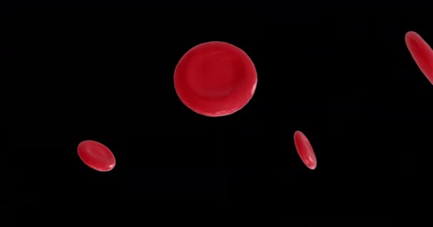 Animación Microglóbulos Rojos Sobre Fondo Negro Concepto Global Ciencia Investigación — Vídeos de Stock