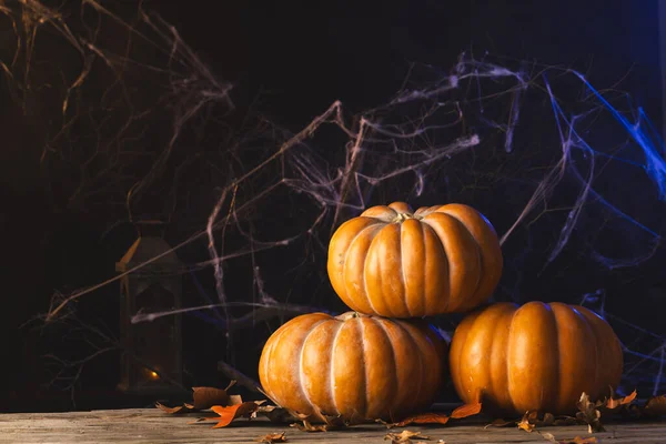 Decorações Abóboras Teia Aranha Com Espaço Cópia Fundo Preto Outono — Fotografia de Stock