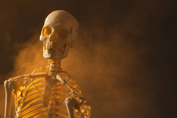 Пластиковый Скелет Дым Копировальным Местом Черном Фоне Осень Осень Хэллоуин — стоковое фото
