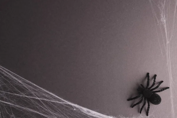 노란색 배경에 할로윈 거미와 거미줄 할로윈 — 스톡 사진
