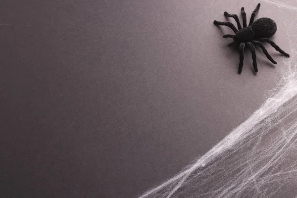 Spinnen Und Spinnennetzdekorationen Halloween Mit Kopierraum Auf Gelbem Hintergrund Herbst — Stockfoto