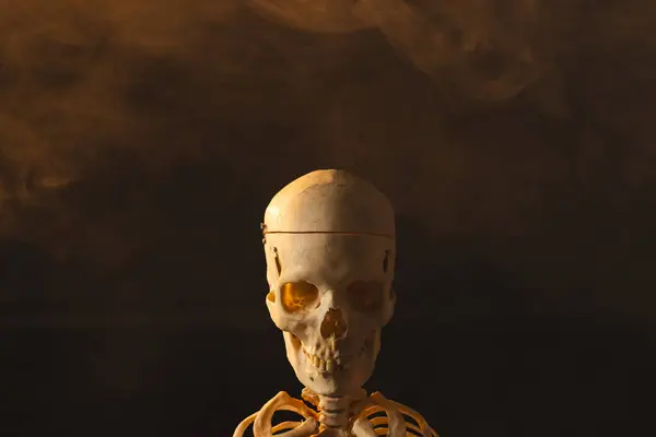 Plastic Skeleton Smoke Copy Space Black Background Fall Autumn Halloween — Stock Photo, Image