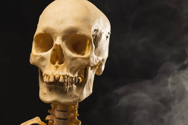 Kunststof Skelet Rook Met Kopieerruimte Zwarte Achtergrond Herfst Herfst Halloween — Stockfoto