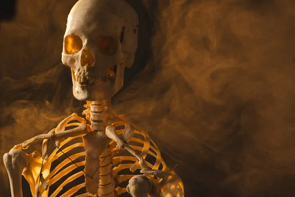Пластиковый Скелет Дым Копировальным Местом Черном Фоне Осень Осень Хэллоуин — стоковое фото