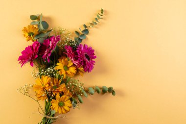 Sarı arkaplanda kopya alanı olan bir demet pembe ve sarı çiçek. Çiçek, bitki, şekil, doğa ve renk kavramı.