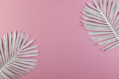 Beyaz bitki pembe arka planda fotokopi alanı ile ayrılır. Bitki, şekil, doğa ve renk kavramı.