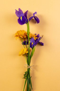 Sarı arkaplanda kopya alanı olan mor ve sarı çiçeklerin dikey görüntüsü. Çiçek, bitki, şekil, doğa ve renk kavramı.
