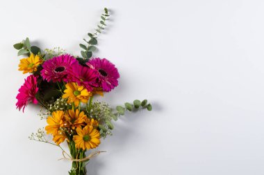 Beyaz arkaplanda kopyalama alanı olan bir sürü pembe ve sarı çiçek. Çiçek, bitki, şekil, doğa ve renk kavramı.