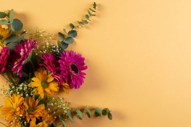 Sarı arkaplanda kopya alanı olan bir demet pembe ve sarı çiçek. Çiçek, bitki, şekil, doğa ve renk kavramı.