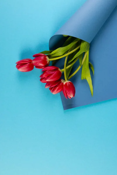 Imagen Vertical Racimo Tulipanes Rojos Papel Azul Con Espacio Copia — Foto de Stock