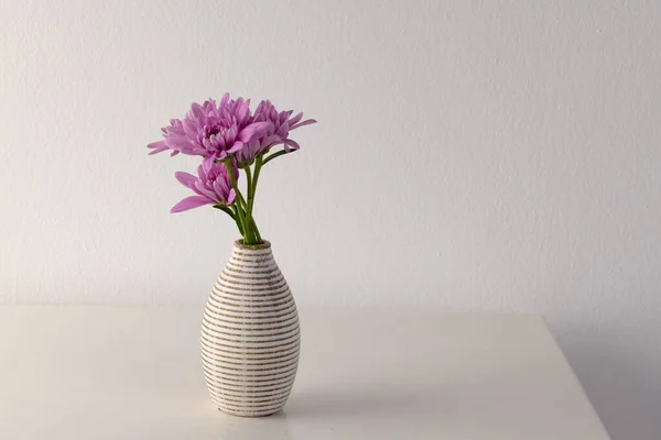 Rosafarbene Blumen Der Vase Und Kopierraum Auf Weißem Hintergrund Blume — Stockfoto
