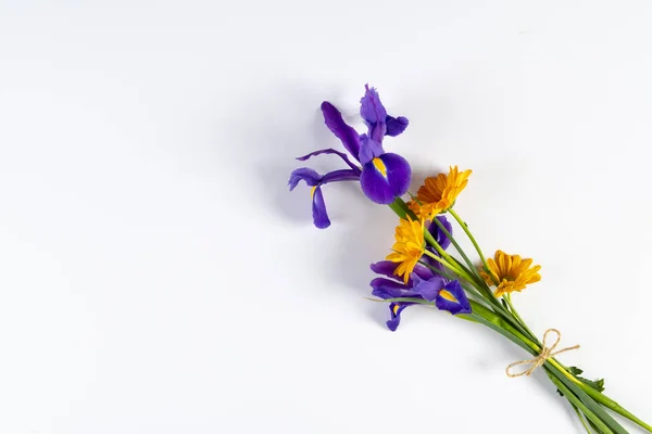 Beyaz Arkaplanda Kopyalama Alanı Olan Mor Sarı Çiçekler Çiçek Bitki — Stok fotoğraf