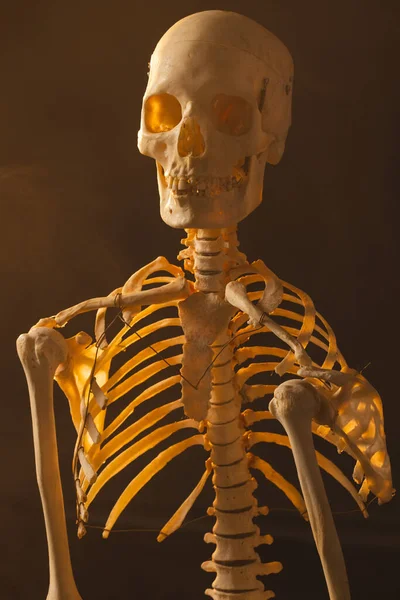 Vertical Image Plastic Skeleton Smoke Copy Space Black Background Fall — Stock Photo, Image